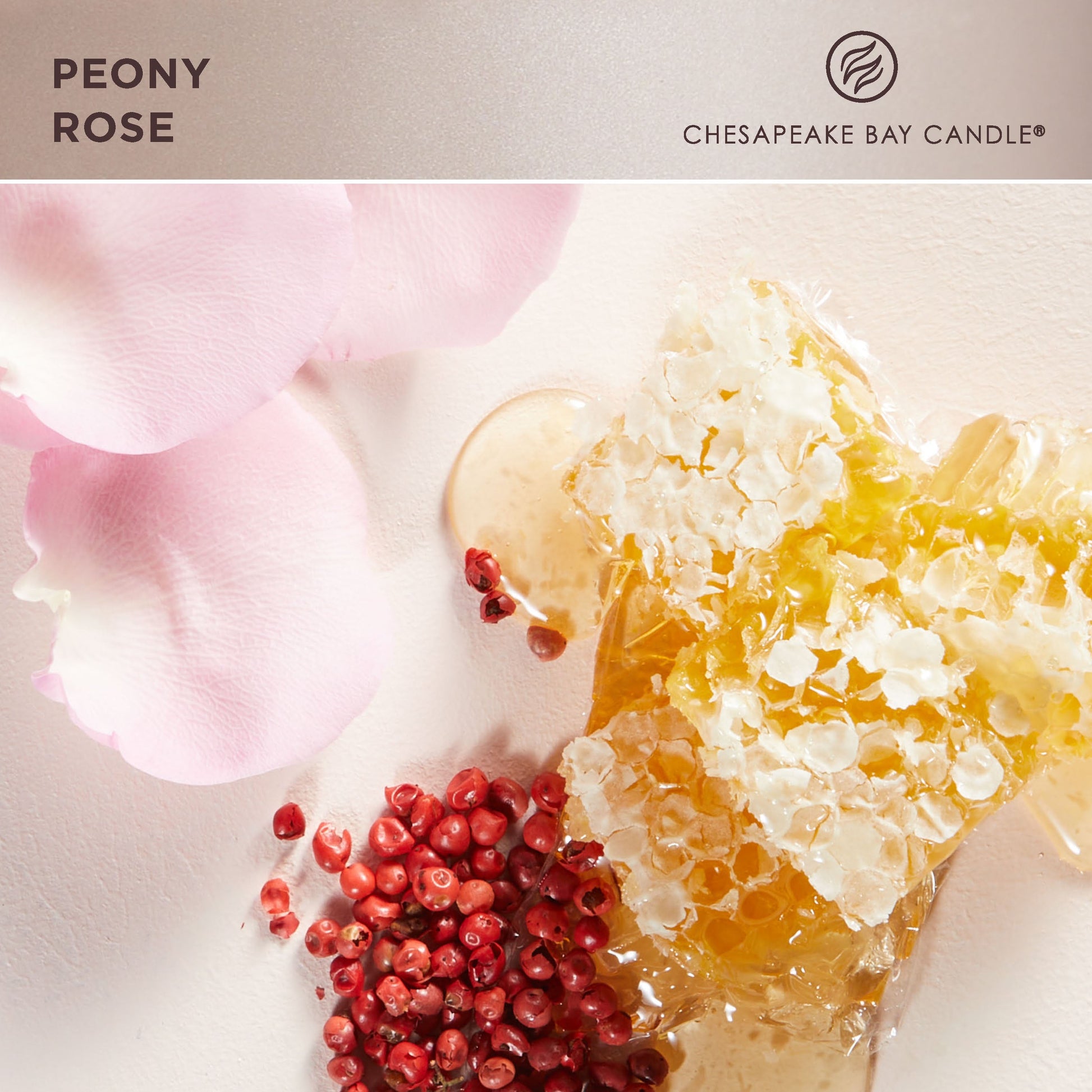chesapeake bay candle peony rose fragrance in 2D