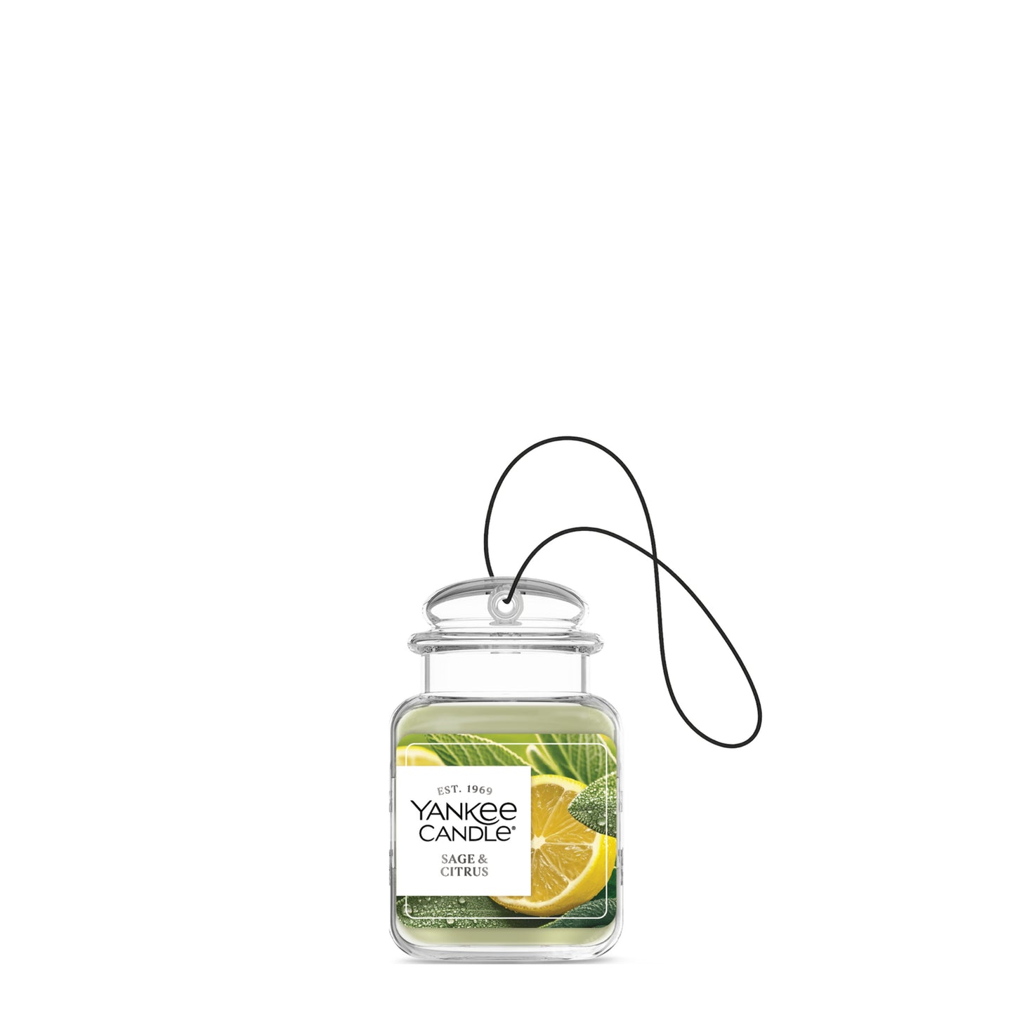 Sage & Citrus Studio 8-0748
