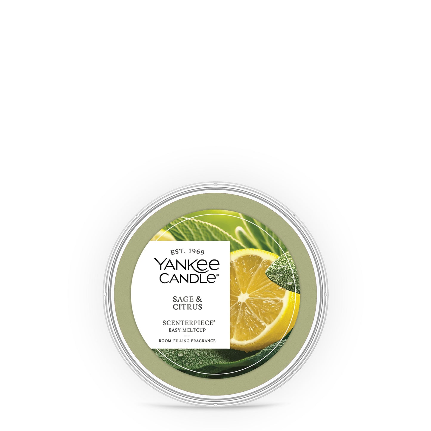 Sage & Citrus Studio 8-0748