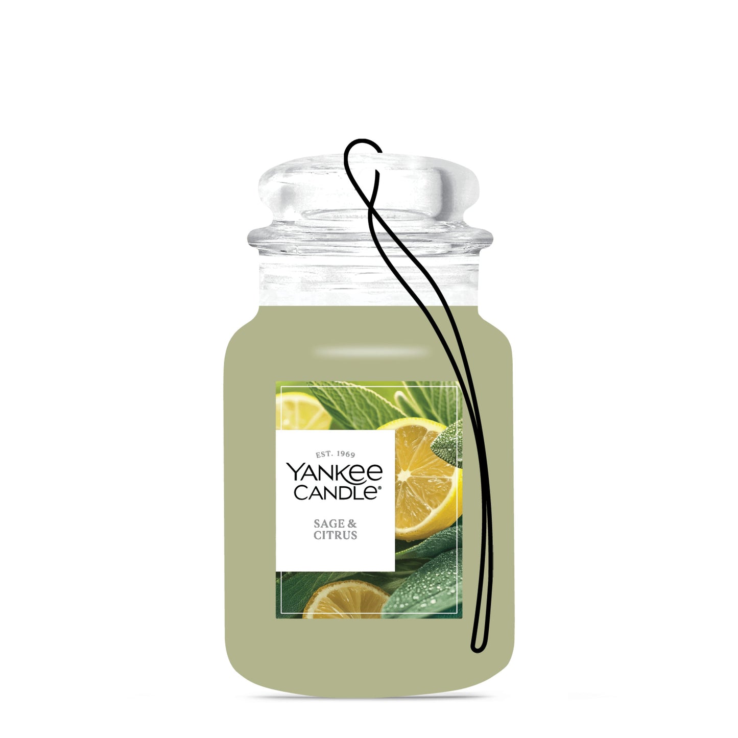 Sage & Citrus Studio 8-0788