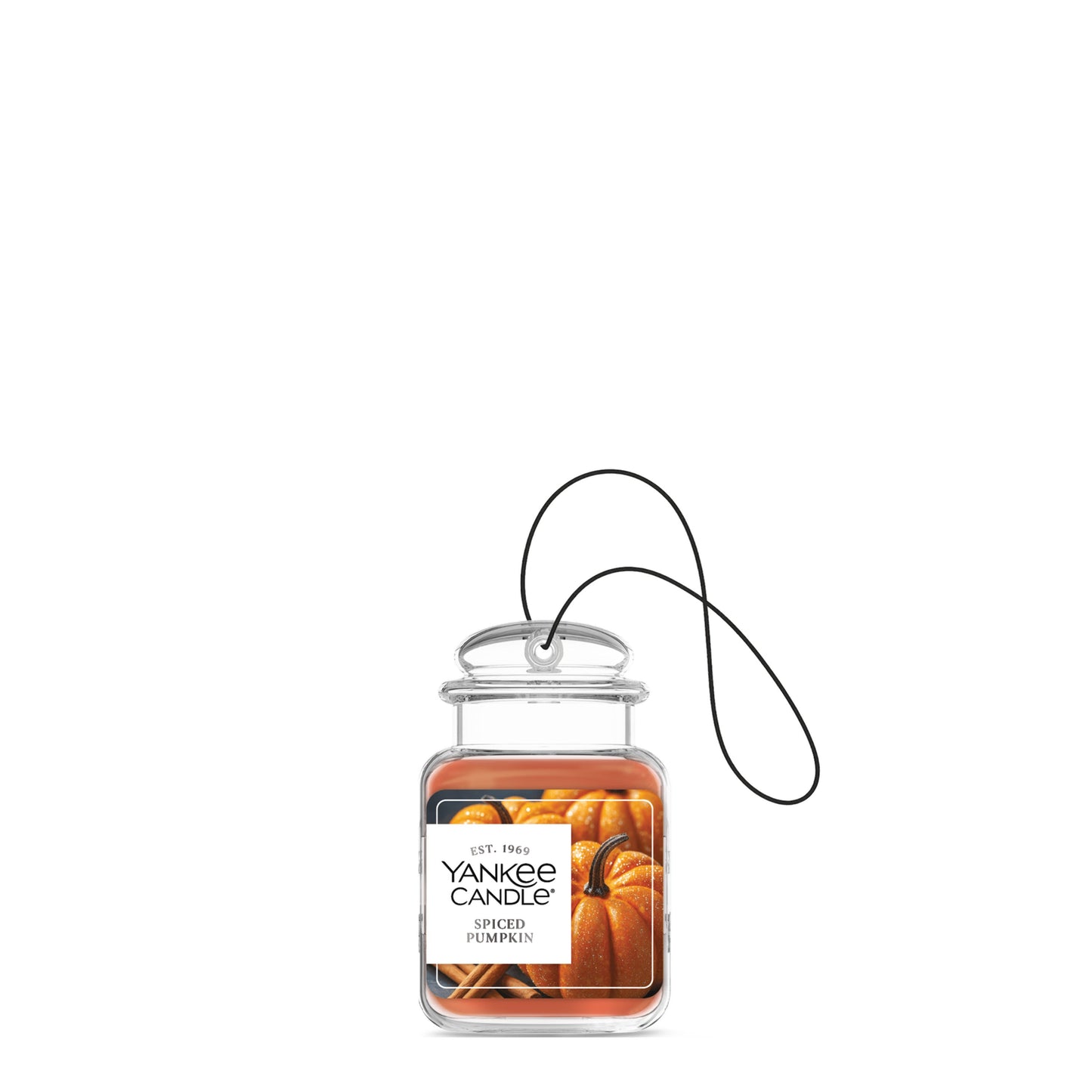 Spiced Pumpkin Daily 8-0280